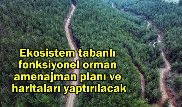 Ekosistem tabanlı fonksiyonel orman amenajman planı ve haritaları yaptırılacak