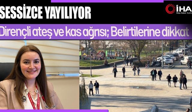 “Domuz Gribi” Alarmı (Video)