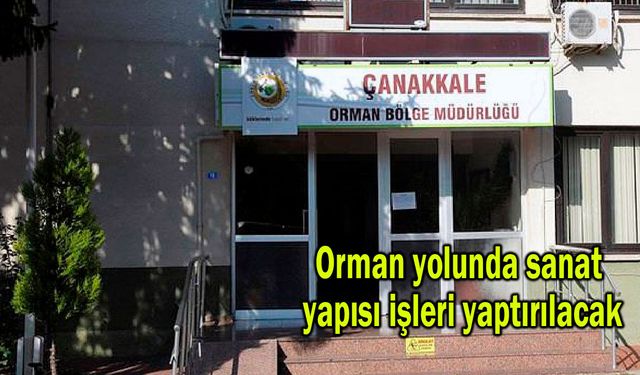 Orman yolunda sanat yapısı işleri yaptırılacak