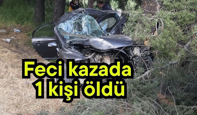 Feci kazada 1 kişi öldü
