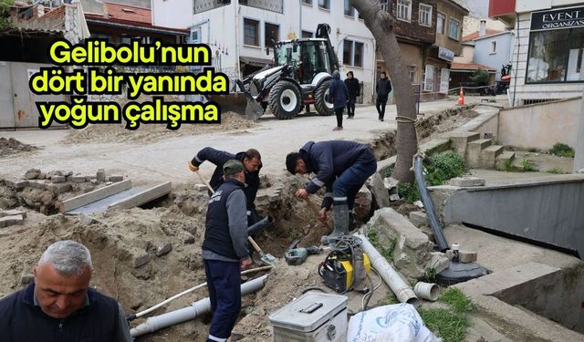 Gelibolu’nun dört bir yanında yoğun çalışma
