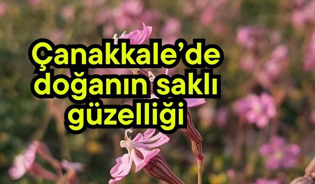 Çanakkale’de doğanın saklı güzelliği