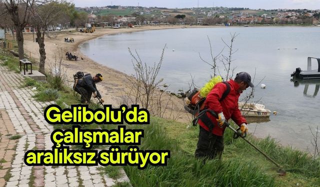 Gelibolu’da çalışmalar aralıksız sürüyor