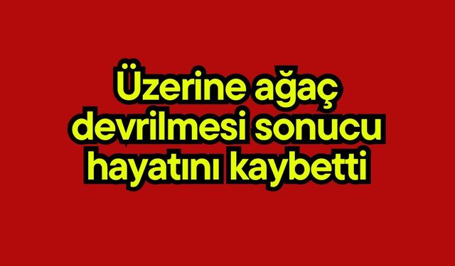 Üzerine ağaç devrilmesi sonucu hayatını kaybetti