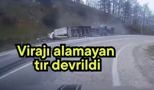 Virajı alamayan tır devrildi
