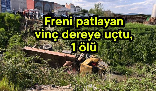 Freni patlayan vinç dereye uçtu, 1 ölü