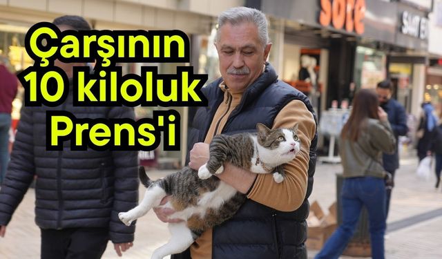 Çarşının 10 kiloluk Prens'i (Video)