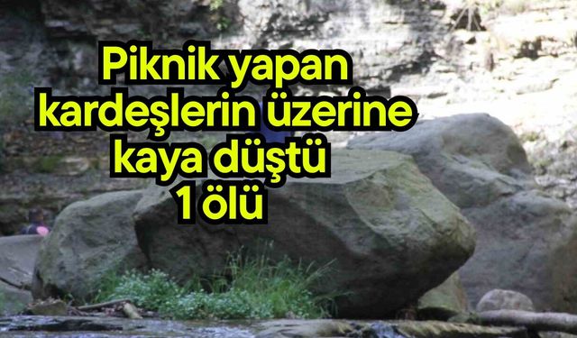 Piknik yapan kardeşlerin üzerine kaya düştü, 1 ölü