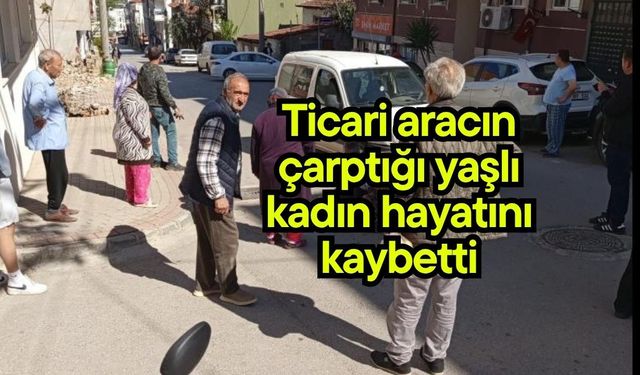 Ticari aracın çarptığı yaşlı kadın hayatını kaybetti