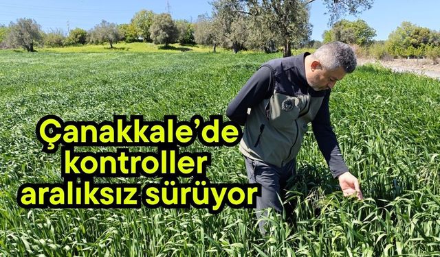 Çanakkale’de kontroller aralıksız sürüyor