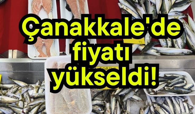 Çanakkale'de fiyatı yükseldi!