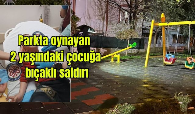Parkta oynayan 2 yaşındaki çocuğa bıçaklı saldırı