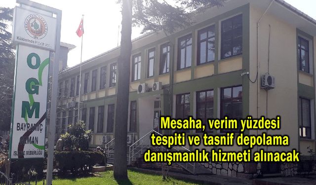 Mesaha, verim yüzdesi tespiti ve tasnif depolama danışmanlık hizmeti alınacak