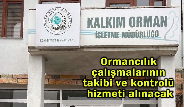 Ormancılık çalışmalarının takibi ve kontrolü hizmeti alınacak