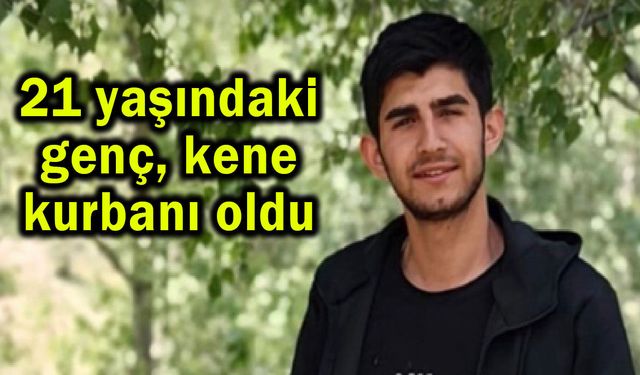 21 yaşındaki genç, kene kurbanı oldu