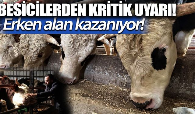 Kurbanlık Alırken Dikkat! Besicilerden Hayati Uyarı (Video)