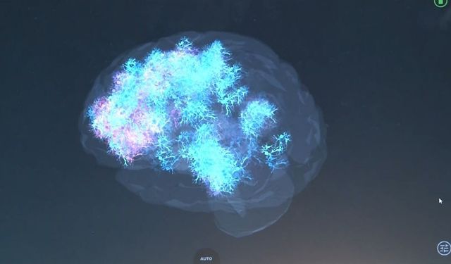 Sanal Şiddet Gerçeğe Dönüşüyor! (Video)