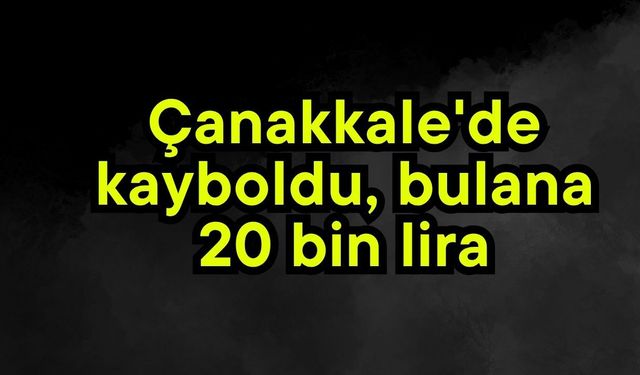 Çanakkale'de kayboldu, bulana 20 bin lira