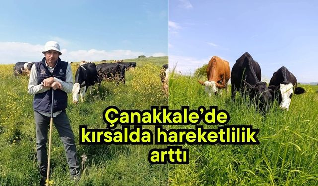 Çanakkale’de kırsalda hareketlilik arttı