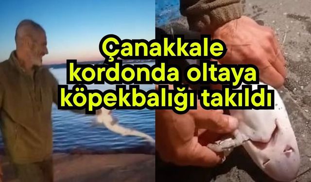 Çanakkale kordonda oltaya köpekbalığı takıldı