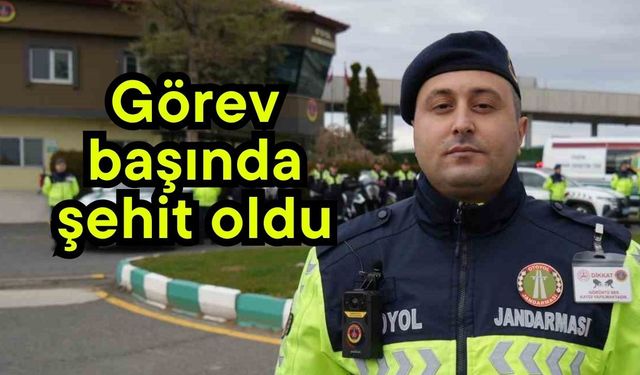 Görev başında şehit oldu