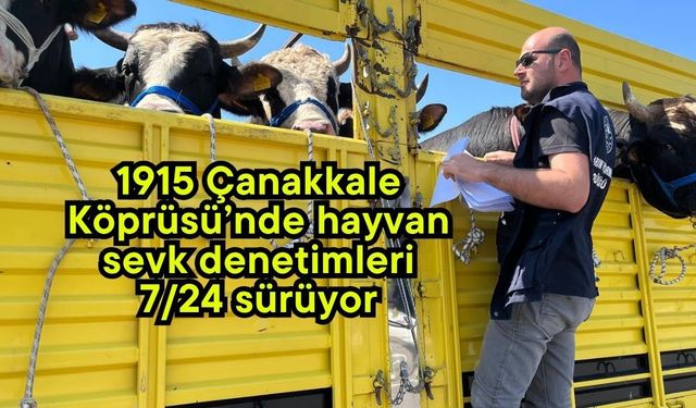 1915 Çanakkale Köprüsü’nde hayvan sevk denetimleri 7/24 sürüyor