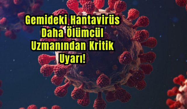 Gemideki Hantavirüs Daha Ölümcül: Uzmanından Kritik Uyarı