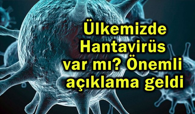 Ülkemizde Hantavirüs var mı? Önemli açıklama geldi