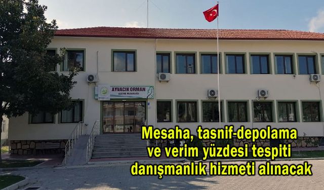 Mesaha, tasnif-depolama ve verim yüzdesi tespiti danışmanlık hizmeti alınacak