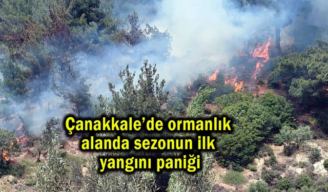 Çanakkale’de ormanlık alanda sezonun ilk yangını paniği