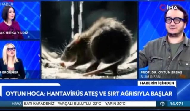 Prof. Dr. Oytun Erbaş’tan hantavirüs açıklaması: "İnsandan insana bulaşmıyordu'' (Video)