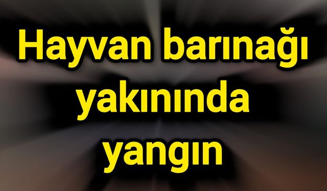 Hayvan barınağı yakınında yangın