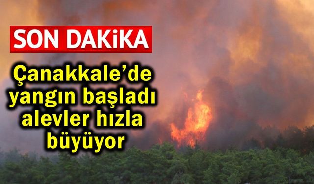 Çanakkale’de yangın başladı, alevler hızla büyüyor