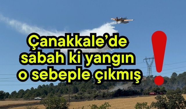 Çanakkale’de sabah ki yangın o sebeple çıkmış! (Video)