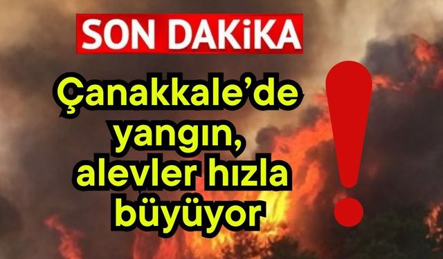 Çanakkale’de yangın, alevler hızla büyüyor!