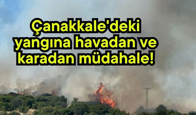 Çanakkale'deki yangına havadan ve karadan müdahale!