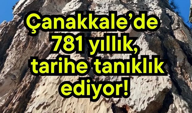 Çanakkale’de 781 yıllık, tarihe tanıklık ediyor!