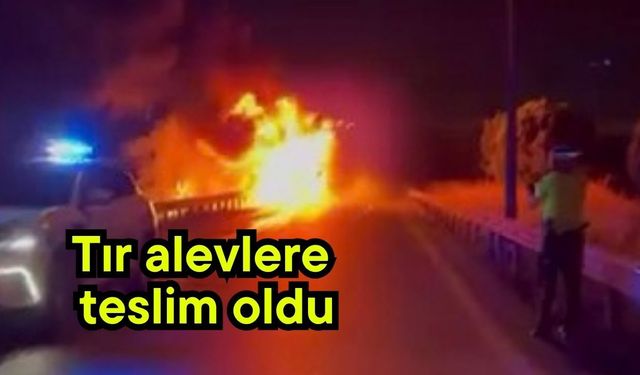 Tır alevlere teslim oldu