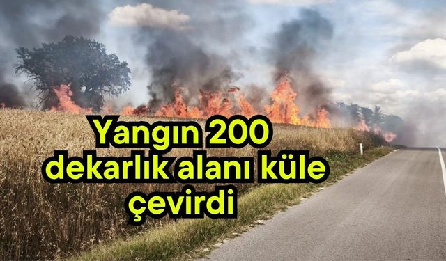 Yangın 200 dekarlık alanı küle çevirdi