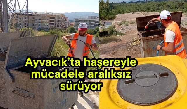 Ayvacık’ta haşereyle mücadele aralıksız sürüyor