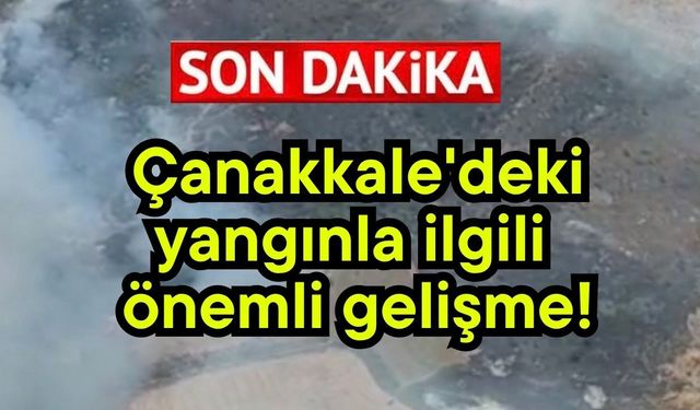 Çanakkale'deki yangınla ilgili önemli gelişme!
