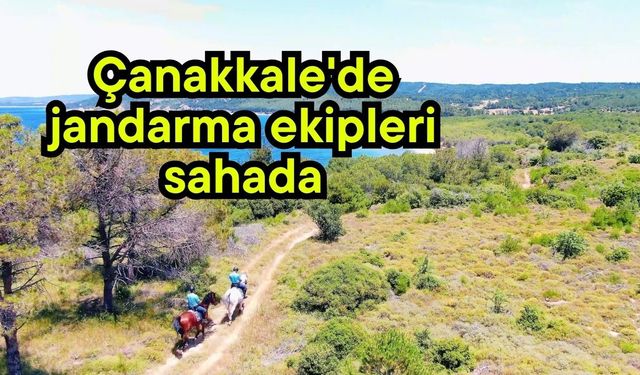 Çanakkale'de jandarma ekipleri sahada