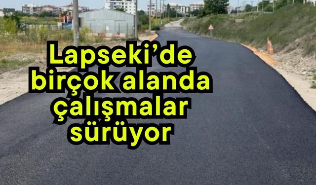 Lapseki’de birçok alanda çalışmalar sürüyor