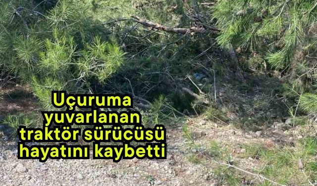 Uçuruma yuvarlanan traktör sürücüsü hayatını kaybetti