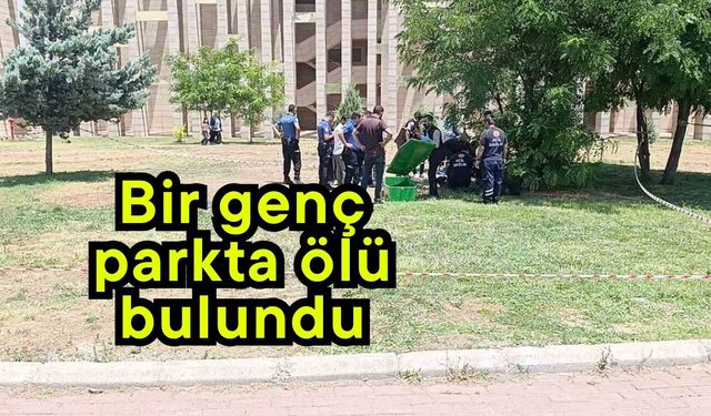 Bir genç parkta ölü bulundu