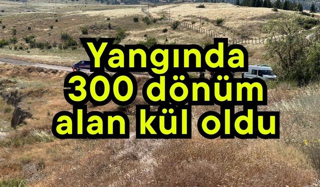 Yangında 300 dönüm alan kül oldu