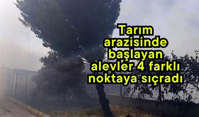Tarım arazisinde başlayan alevler 4 farklı noktaya sıçradı