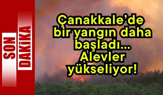 Çanakkale’de bir yangın daha başladı… Alevler yükseliyor!