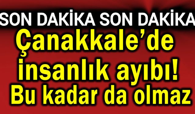Çanakkale’de insanlık ayıbı! Bu kadar da olmaz