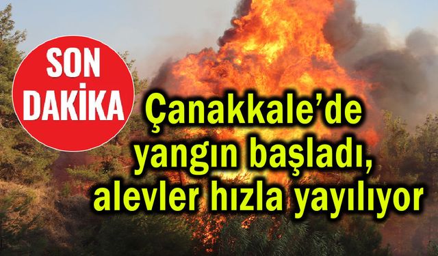Çanakkale’de yangın başladı, alevler hızla yayılıyor